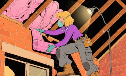 When to Repair vs Replace Timber Fencing